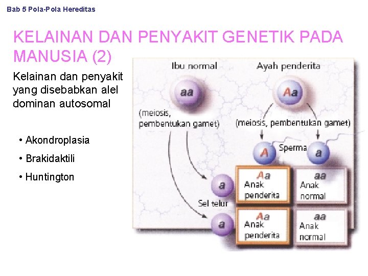 Bab 5 Pola-Pola Hereditas KELAINAN DAN PENYAKIT GENETIK PADA MANUSIA (2) Kelainan dan penyakit