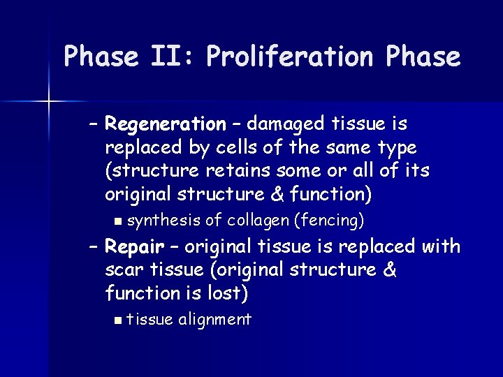 Phase II: Proliferation Phase – Regeneration – damaged tissue is replaced by cells of