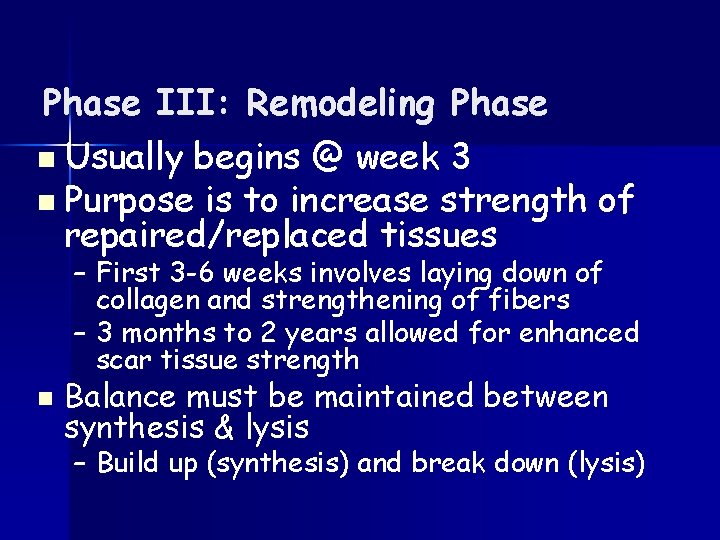 Phase III: Remodeling Phase n Usually begins @ week 3 n Purpose is to