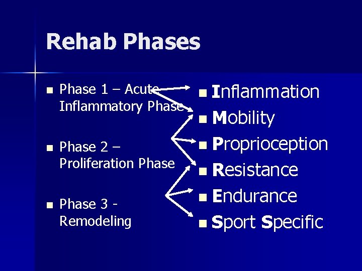 Rehab Phases n Phase 1 – Acute n Inflammation Inflammatory Phase n Mobility n