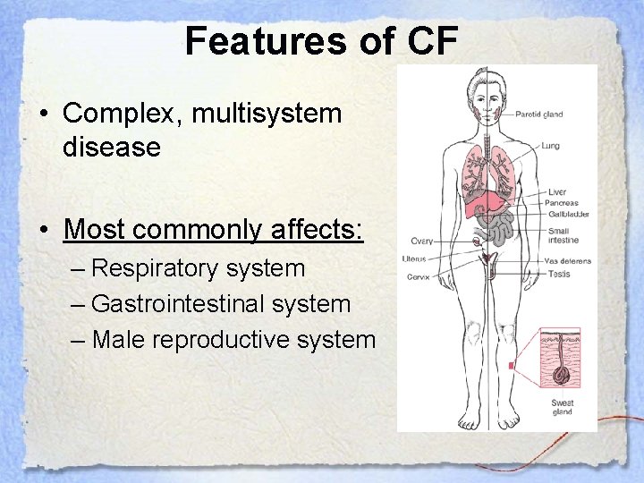 Features of CF • Complex, multisystem disease • Most commonly affects: – Respiratory system