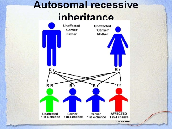 Autosomal recessive inheritance www. search. com 