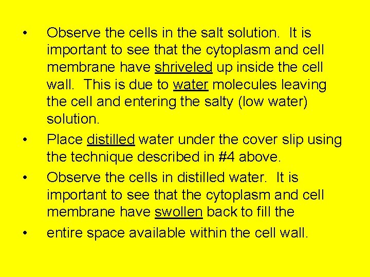  • • Observe the cells in the salt solution. It is important to