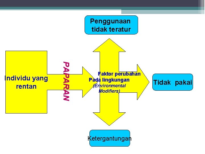 Penggunaan tidak teratur PAPARAN Individu yang rentan Faktor perubahan Pada lingkungan (Environmental Modifiers) Ketergantungan Penggunaan tidak teratur PAPARAN Individu yang rentan Faktor perubahan Pada lingkungan (Environmental Modifiers) Ketergantungan