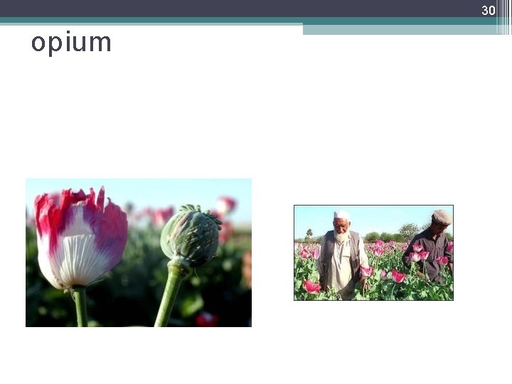 30 opium 30 opium