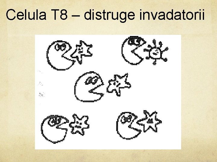 Celula T 8 – distruge invadatorii 