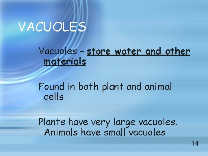 VACUOLES Vacuoles – store water and other materials Found in both plant and animal