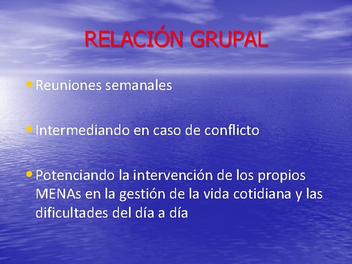 RELACIÓN GRUPAL • Reuniones semanales • Intermediando en caso de conflicto • Potenciando la