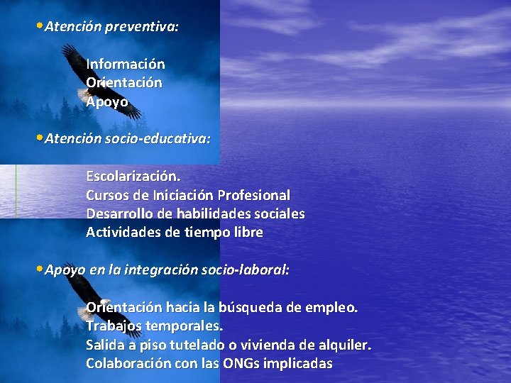  • Atención preventiva: Información Orientación Apoyo • Atención socio-educativa: Escolarización. Cursos de Iniciación