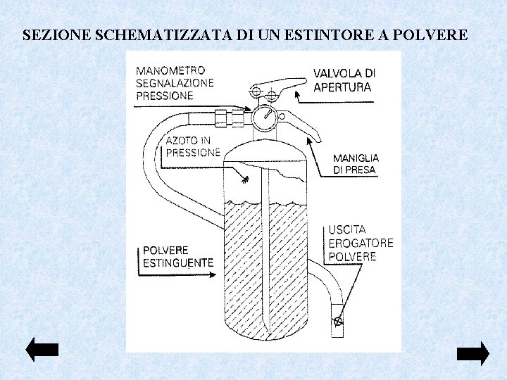 SEZIONE SCHEMATIZZATA DI UN ESTINTORE A POLVERE 