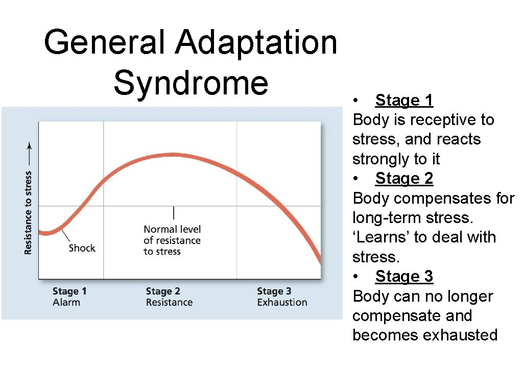 General Adaptation Syndrome • Stage 1 Body is receptive to stress, and reacts strongly