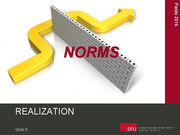 Fields 2016 NORMS REALIZATION Slide 8 