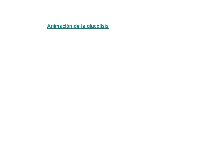 Animación de la glucólisis 