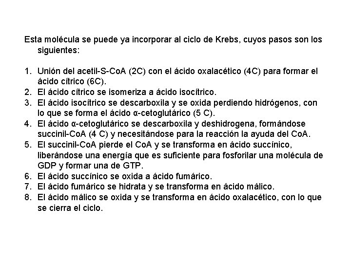 Esta molécula se puede ya incorporar al ciclo de Krebs, cuyos pasos son los