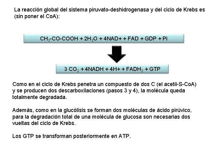 La reacción global del sistema piruvato-deshidrogenasa y del ciclo de Krebs es (sin poner