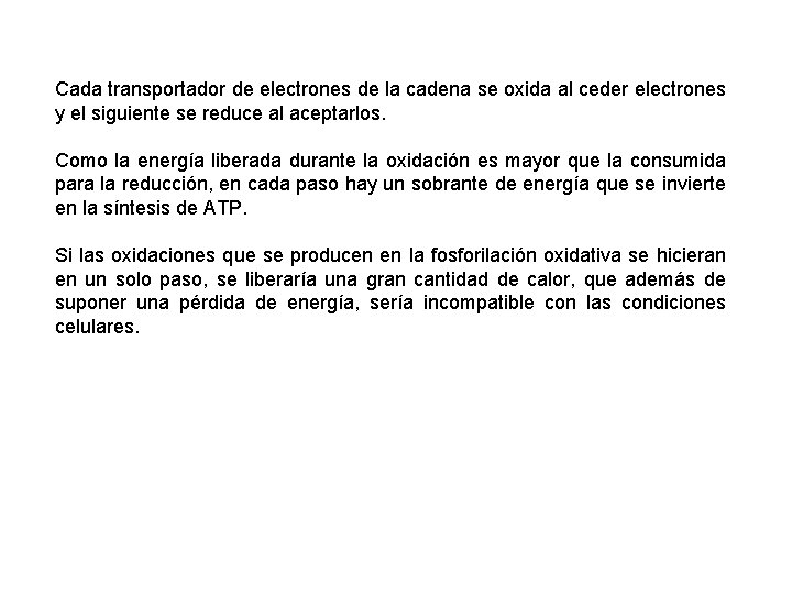 Cada transportador de electrones de la cadena se oxida al ceder electrones y el
