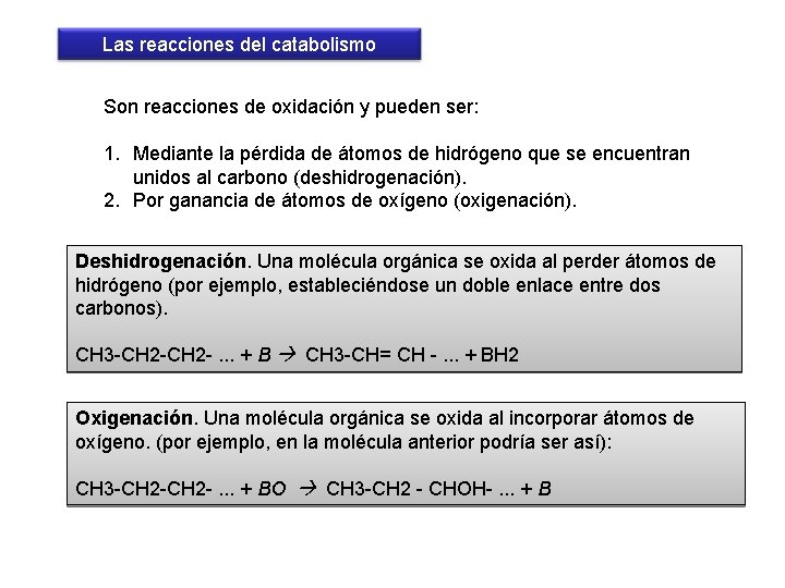 Las reacciones del catabolismo Son reacciones de oxidación y pueden ser: 1. Mediante la