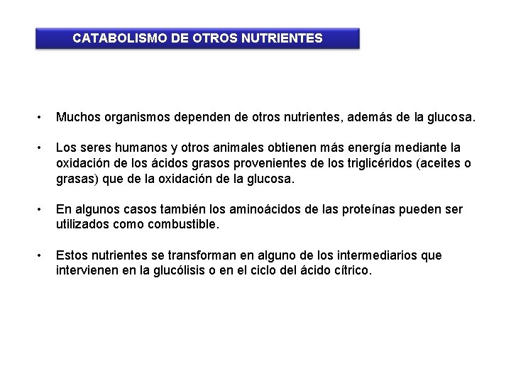 CATABOLISMO DE OTROS NUTRIENTES • Muchos organismos dependen de otros nutrientes, además de la