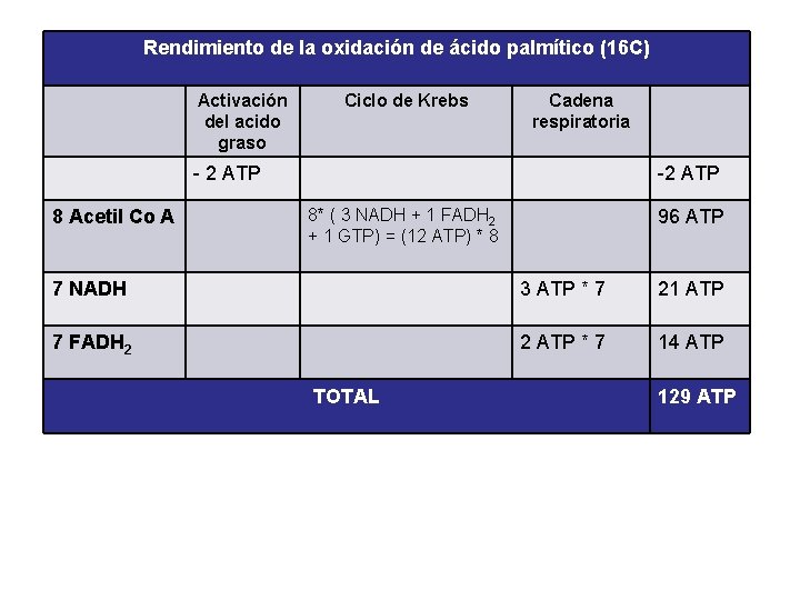 Rendimiento de la oxidación de ácido palmítico (16 C) Activación del acido graso Ciclo