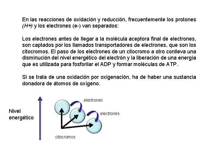 En las reacciones de oxidación y reducción, frecuentemente los protones (H+) y los electrones
