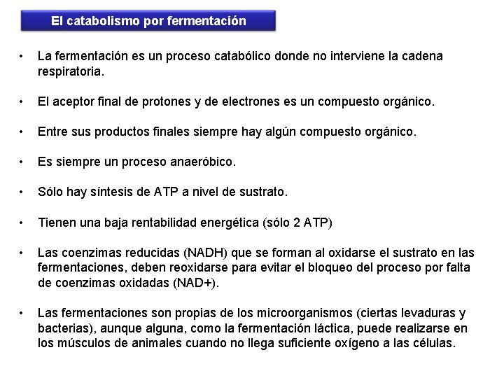 El catabolismo por fermentación • La fermentación es un proceso catabólico donde no interviene