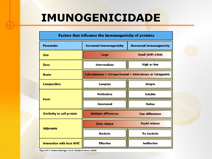 IMUNOGENICIDADE 