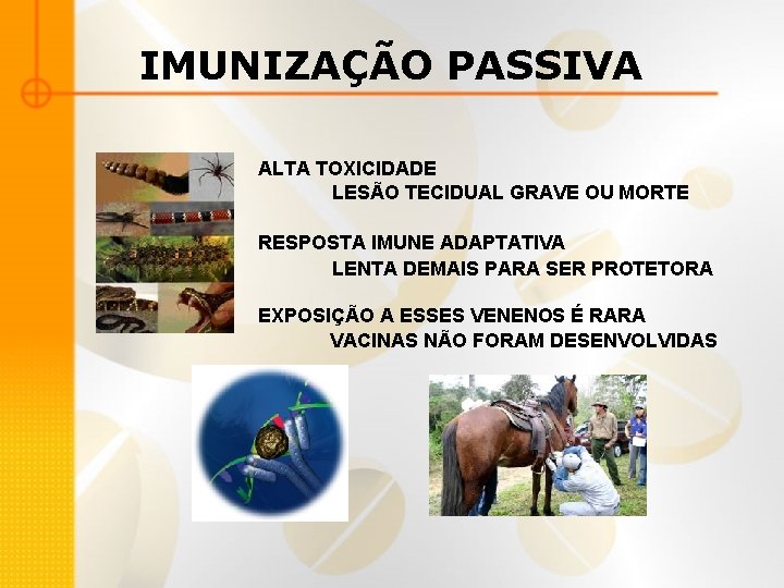 IMUNIZAÇÃO PASSIVA ALTA TOXICIDADE LESÃO TECIDUAL GRAVE OU MORTE RESPOSTA IMUNE ADAPTATIVA LENTA DEMAIS