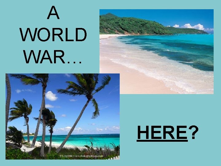 A WORLD WAR… HERE? 