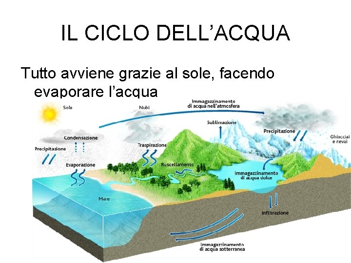 IL CICLO DELL’ACQUA Tutto avviene grazie al sole, facendo evaporare l’acqua 