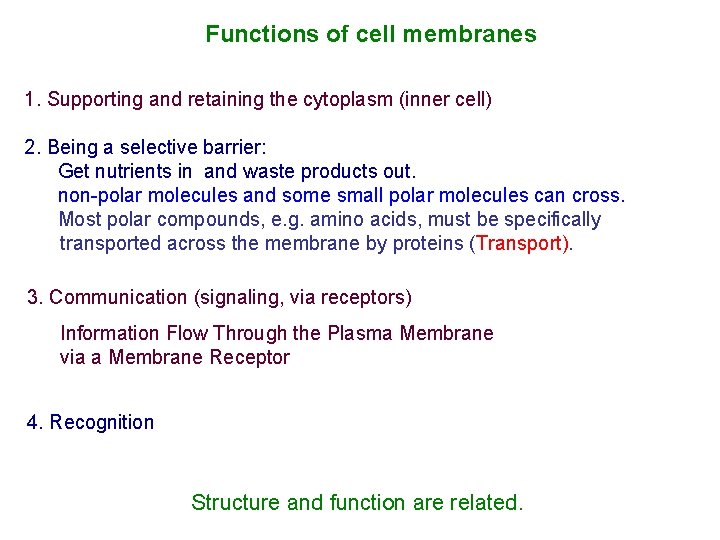 Functions of cell membranes 1. Supporting and retaining the cytoplasm (inner cell) 2. Being