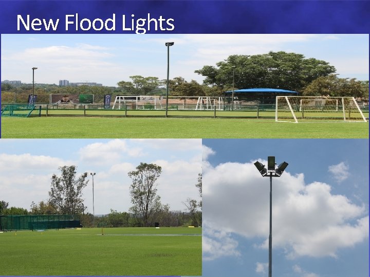 New Flood Lights 