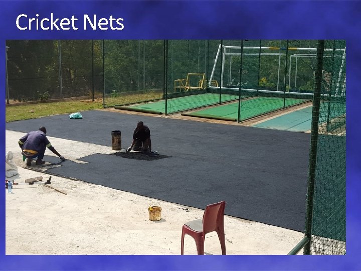 Cricket Nets 