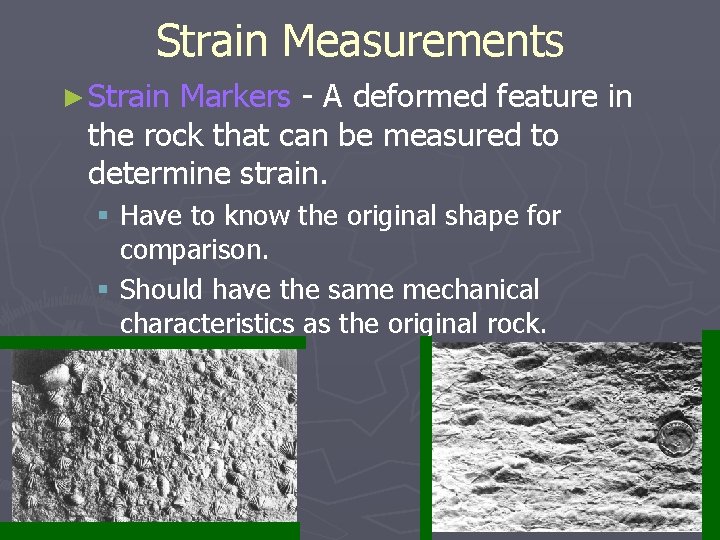 Strain Measurements ► Strain Markers - A deformed feature in the rock that can