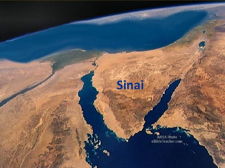 Sinai 