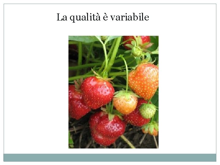 La qualità è variabile 