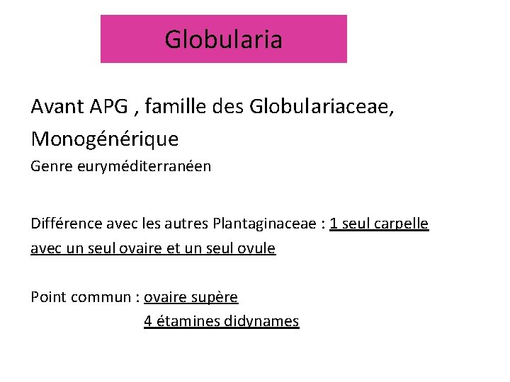 Globularia Avant APG , famille des Globulariaceae, Monogénérique Genre euryméditerranéen Différence avec les autres Globularia Avant APG , famille des Globulariaceae, Monogénérique Genre euryméditerranéen Différence avec les autres