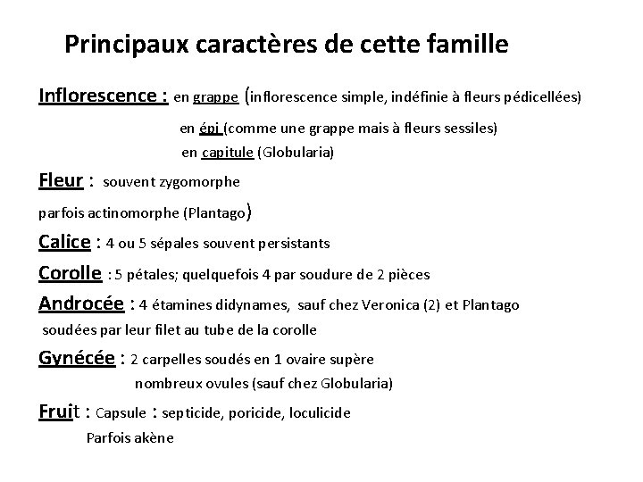 Principaux caractères de cette famille Inflorescence : en grappe (inflorescence simple, indéfinie à fleurs