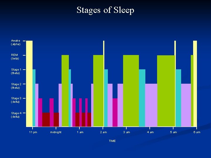 Stages of Sleep Awake (alpha) REM (beta) Stage 1 (theta) Stage 2 (theta) Stage
