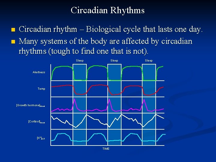 Circadian Rhythms n n Circadian rhythm – Biological cycle that lasts one day. Many