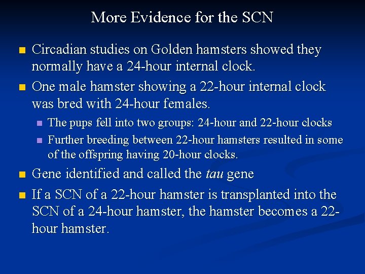 More Evidence for the SCN n n Circadian studies on Golden hamsters showed they