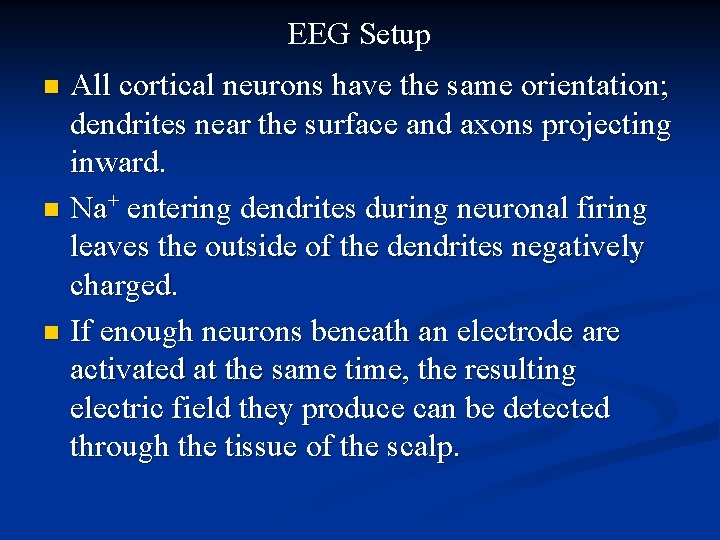 EEG Setup All cortical neurons have the same orientation; dendrites near the surface and