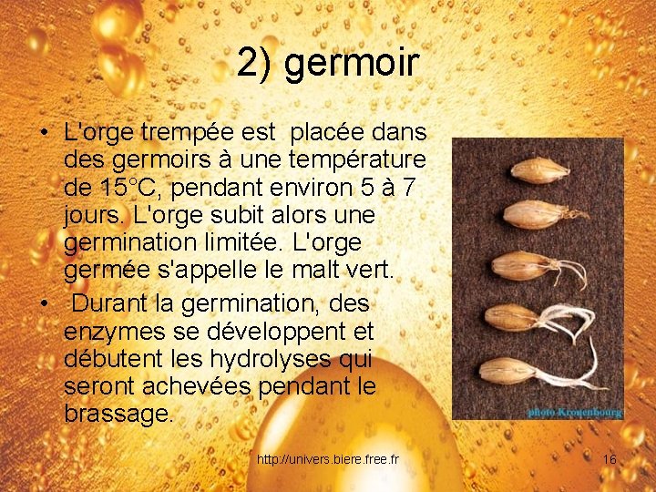 2) germoir • L'orge trempée est placée dans des germoirs à une température de