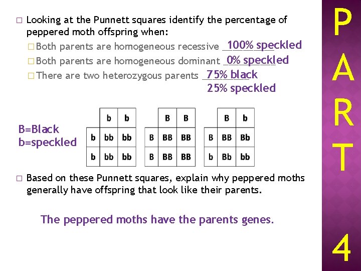 � Looking at the Punnett squares identify the percentage of peppered moth offspring when: