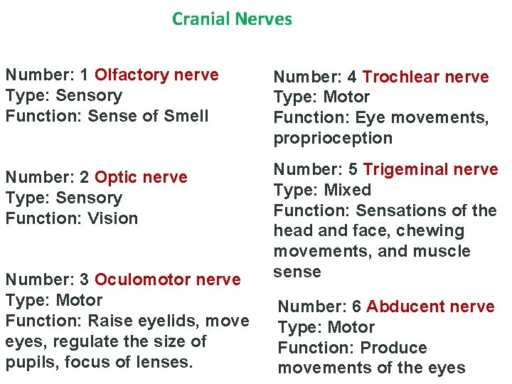 Cranial Nerves Number: 1 Olfactory nerve Type: Sensory Function: Sense of Smell Number: 4