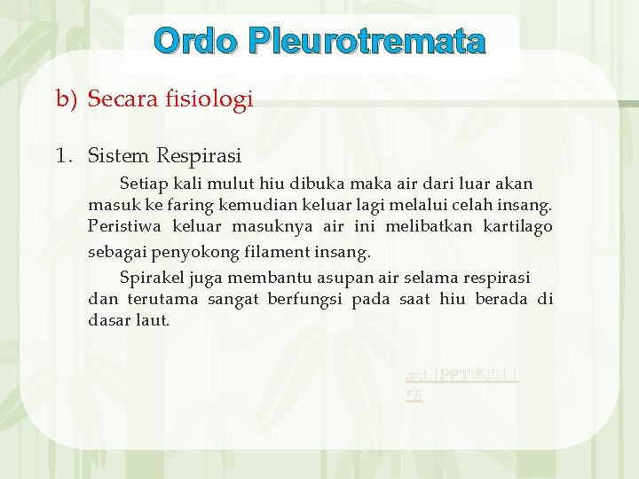 Ordo Pleurotremata b) Secara fisiologi 1. Sistem Respirasi Setiap kali mulut hiu dibuka maka