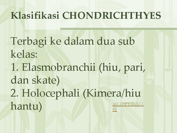 Klasifikasi CHONDRICHTHYES Terbagi ke dalam dua sub kelas: 1. Elasmobranchii (hiu, pari, dan skate)