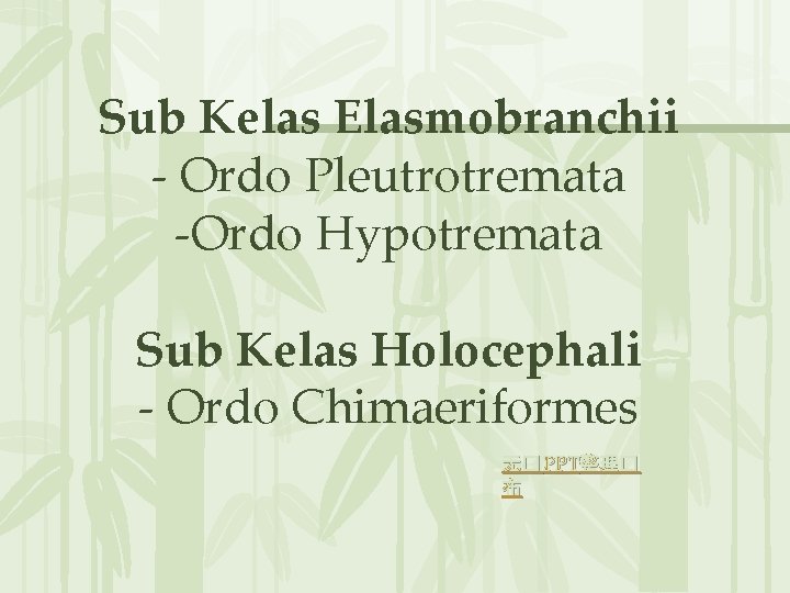 Sub Kelas Elasmobranchii - Ordo Pleutrotremata -Ordo Hypotremata Sub Kelas Holocephali - Ordo Chimaeriformes