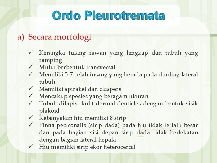 Ordo Pleurotremata a) Secara morfologi ü Kerangka tulang rawan yang lengkap dan tubuh yang