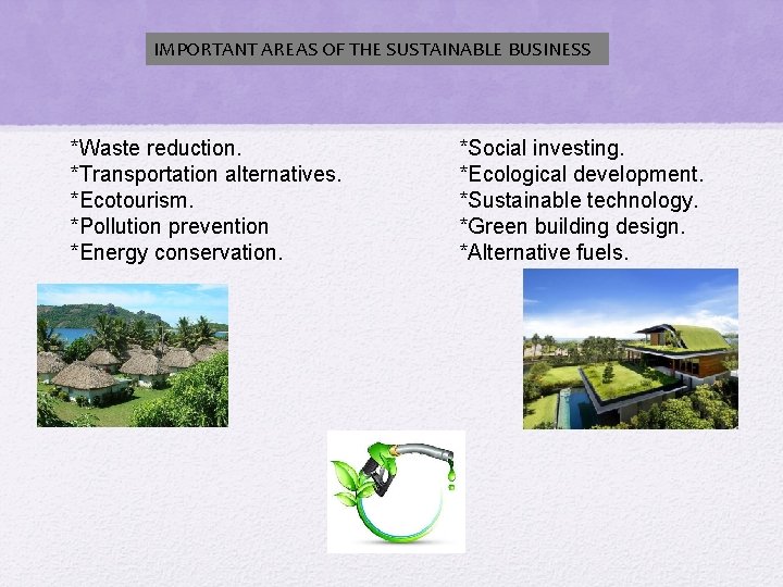 IMPORTANT AREAS OF THE SUSTAINABLE BUSINESS *Waste reduction. *Transportation alternatives. *Ecotourism. *Pollution prevention *Energy