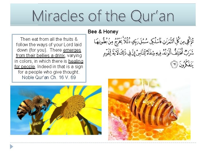 Miracles of the Qur’an Bee & Honey Then eat from all the fruits &